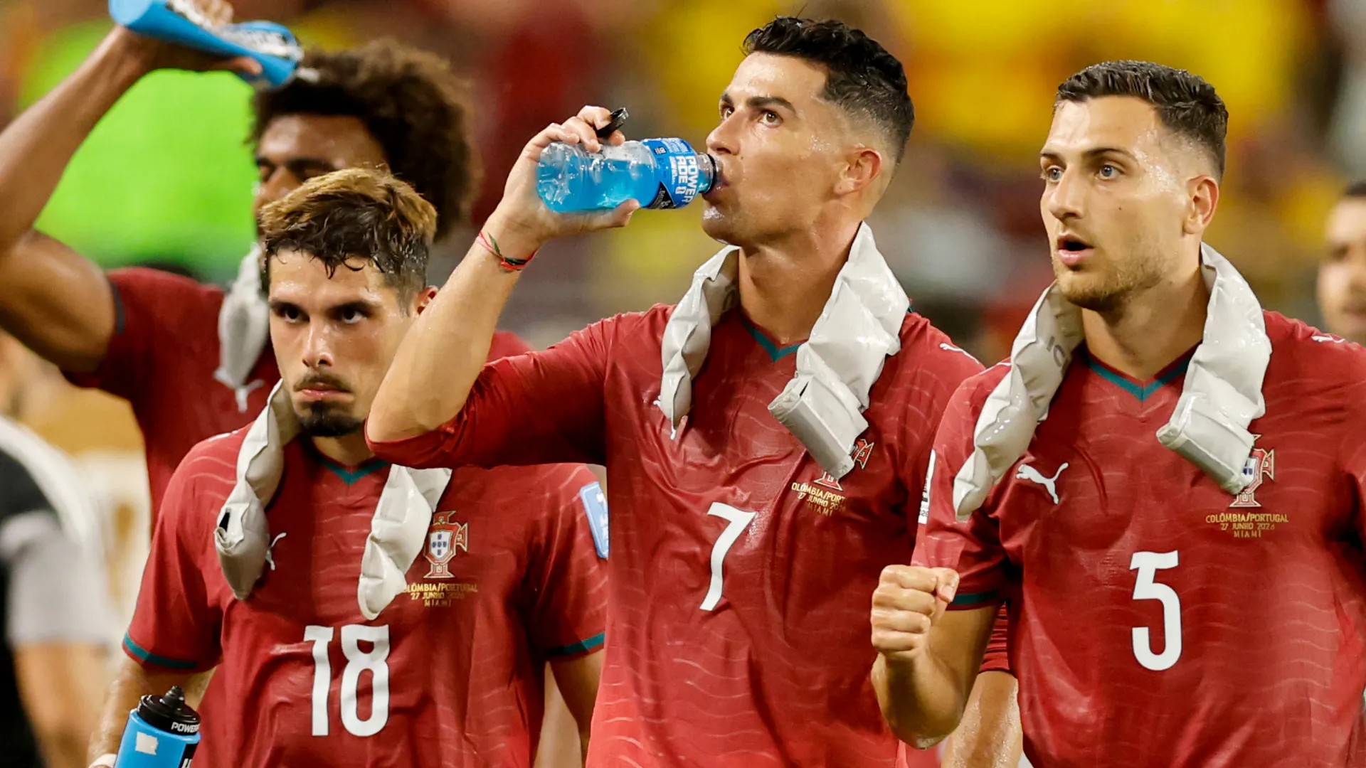 ronaldo portugal world cup