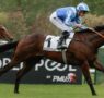 Today on Sky Sports Racing: Newton Abbot and Chantilly | Racing News