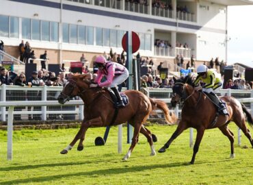 Today on Sky Sports Racing: Lingfield, Newton Abbot and Windsor | Racing News