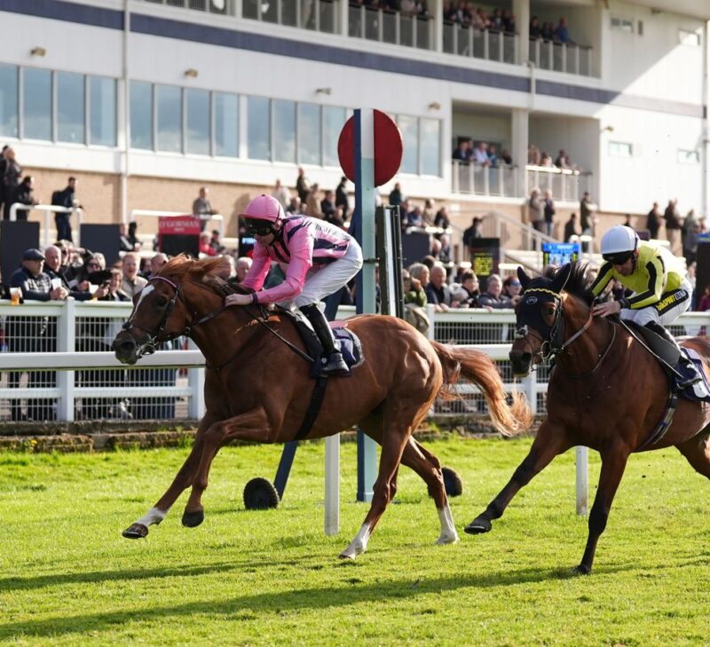 Today on Sky Sports Racing: Lingfield, Newton Abbot and Windsor | Racing News