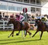 Today on Sky Sports Racing: Lingfield, Newton Abbot and Windsor | Racing News